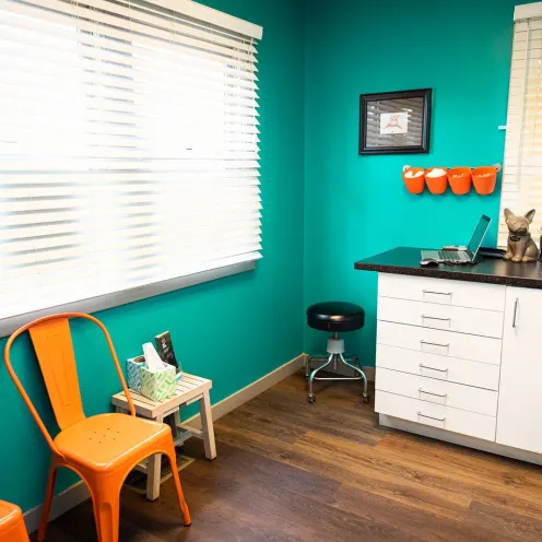 Waiting area with orange seating and barn doors at The Valley Veterinary Hospital